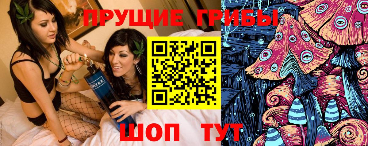 Псилоцибиновые грибы MAGIC MUSHROOMS  Вход с VPN  Псилоцибиновые грибы прущие грибы  Вязники 