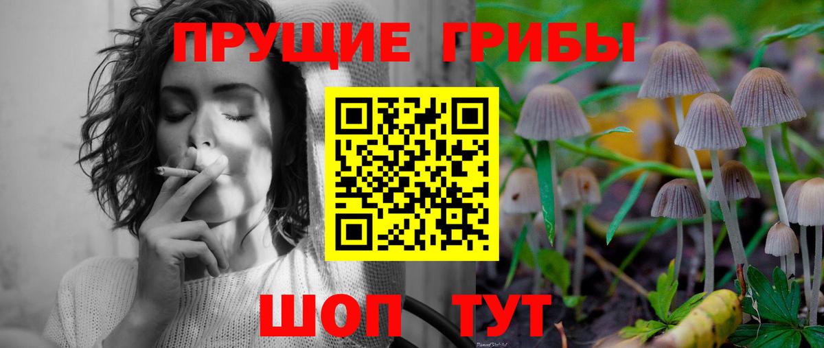 Псилоцибиновые грибы мицелий Вязники